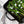 Load image into Gallery viewer, Τετράγωνη Μαντεμένια Γκριλιέρα Chef Collection 27.94 εκ. - Lodge LC11SGP
