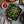 Carica l&#39;immagine nel Visualizzatore galleria, Chef Collection Griglia Quadrata in Ghisa 27,94 cm - Lodge LC11SGP
